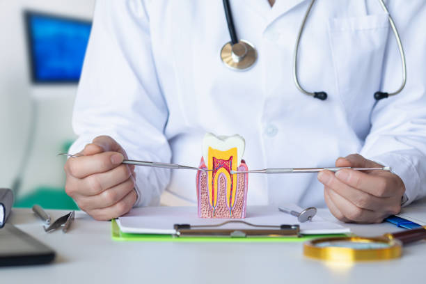 Best Root Canal Emergency Dentist  in Barnesville, MN